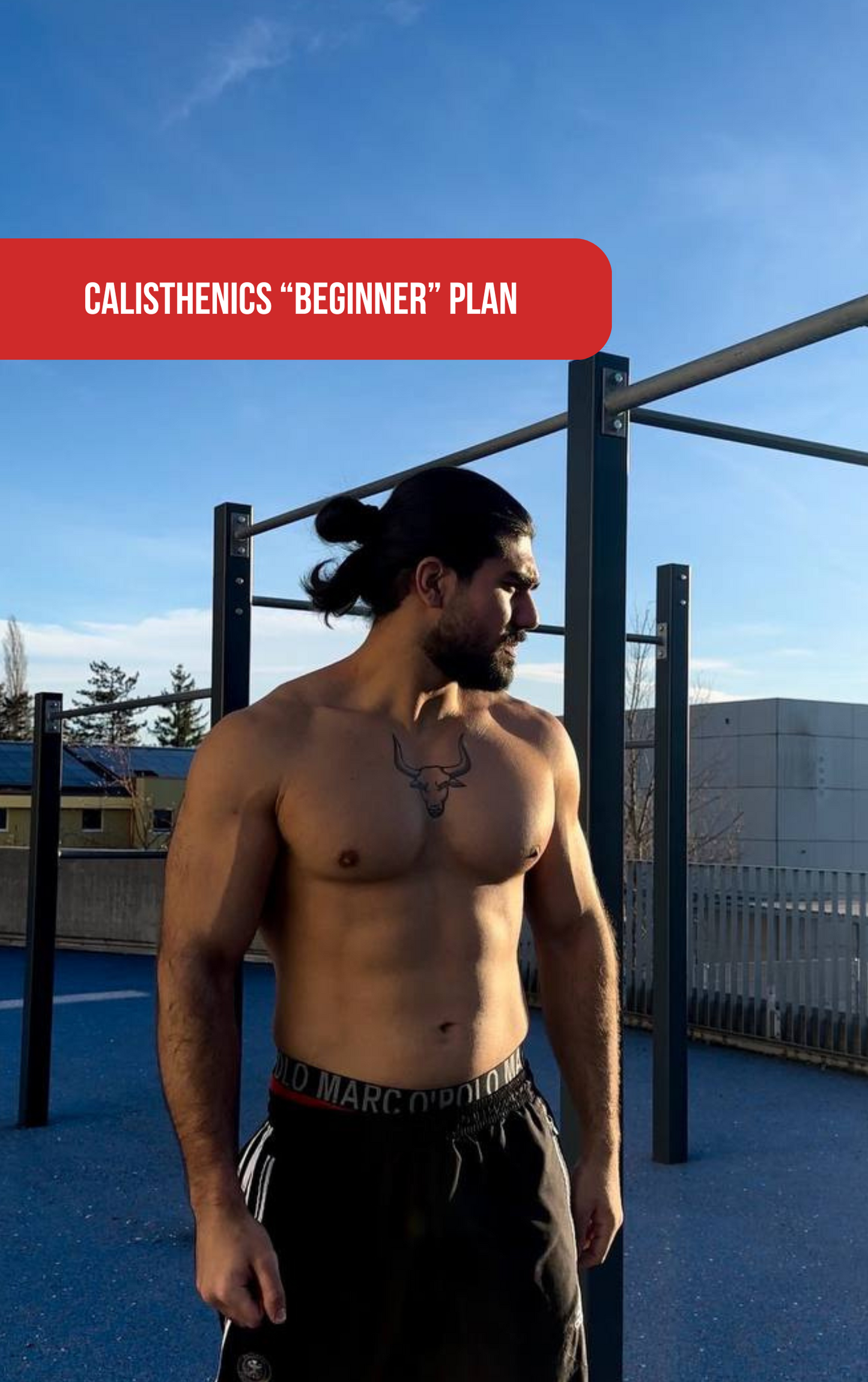 CALISTHENICS BEGINNER PLAN