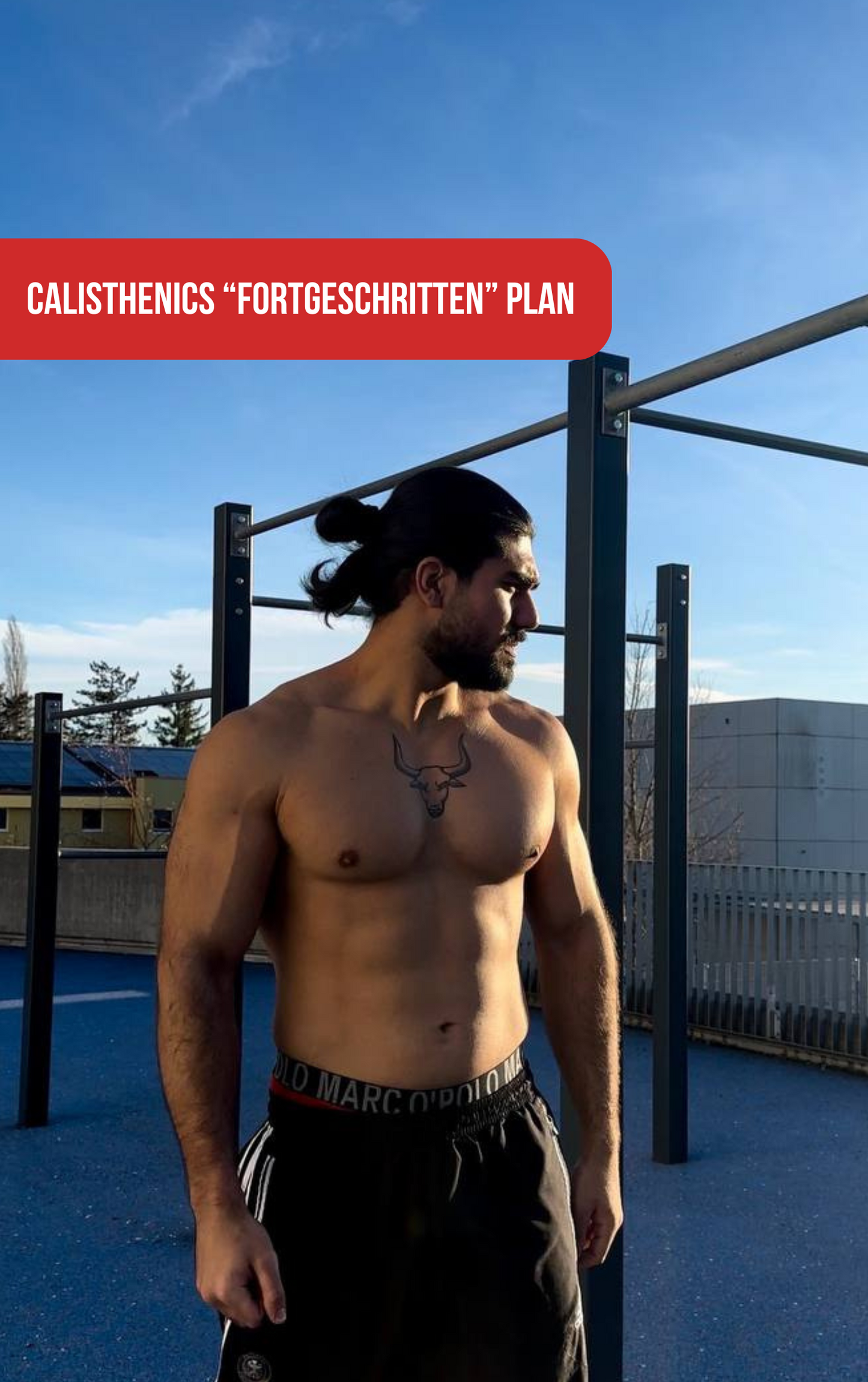 CALISTHENICS FORTGESCHRITTEN PLAN