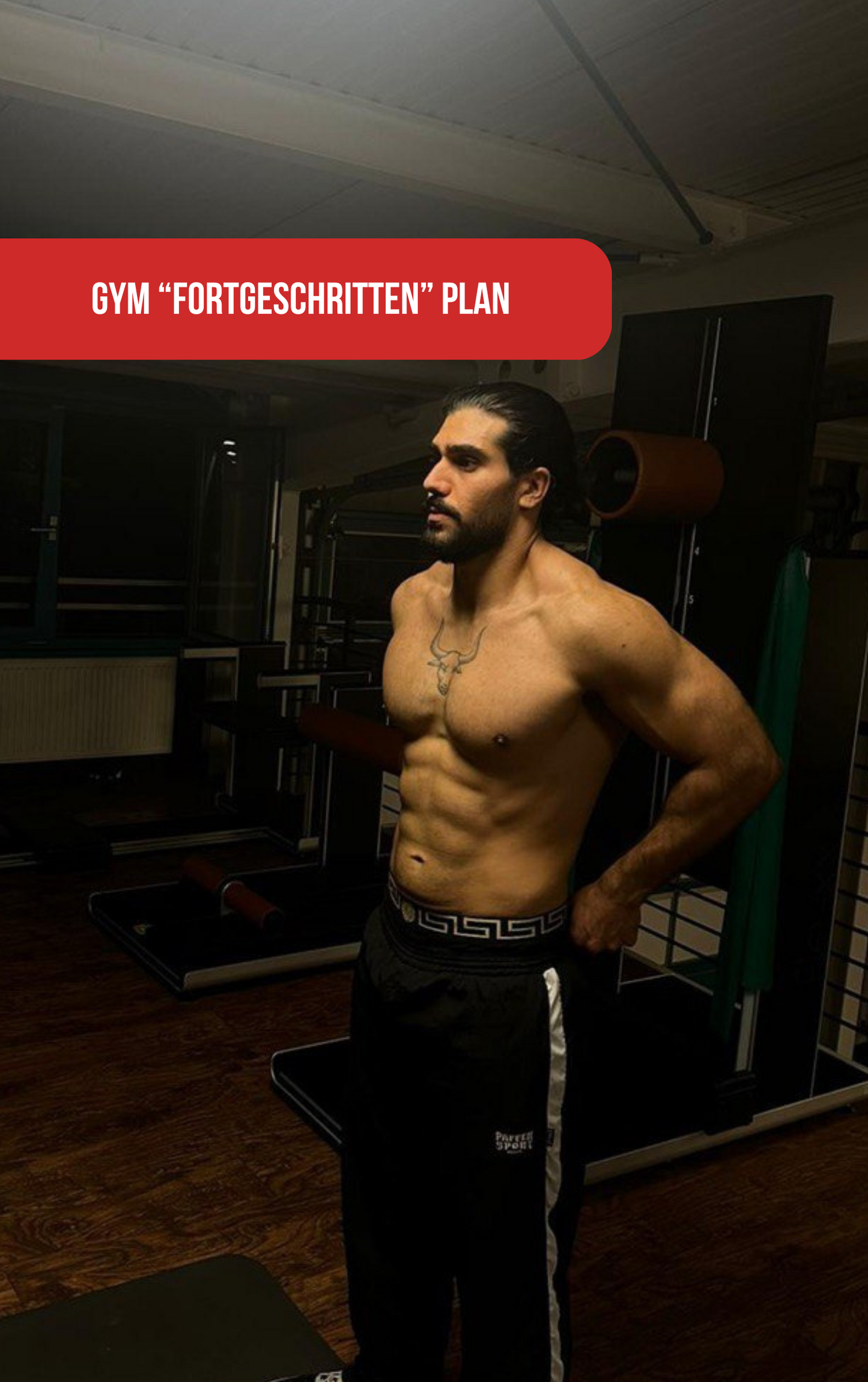 GYM FORTGESCHRITTEN PLAN