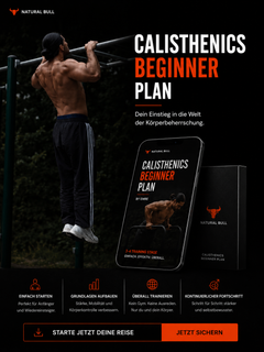 GYM BEGINNER PLAN-1