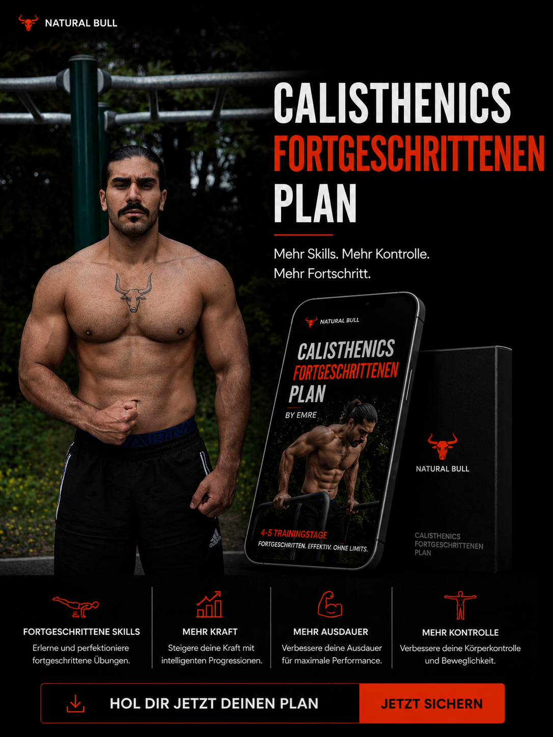 CALISTHENICS FORTGESCHRITTEN PLAN