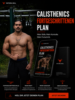 CALISTHENICS FORTGESCHRITTEN PLAN-1