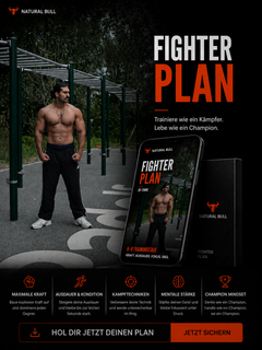 FIGHTER PLAN-1