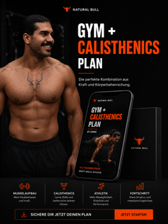 GYM + CALISTHENICS PLAN-1