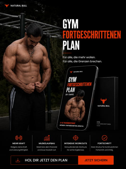 GYM FORTGESCHRITTEN PLAN